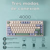 Teclado Mecanico Aula F75 Pro W/b/lb Rgb, Español W/b/lb Español Latinoamérica